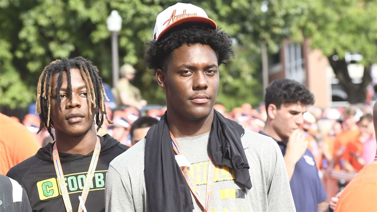 马尔穆什的 马尔穆什的