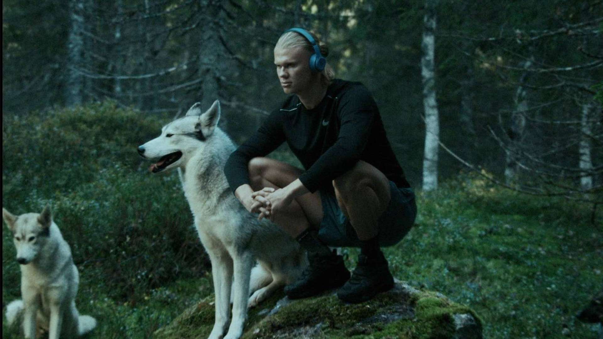 场上的每一 场上的每一