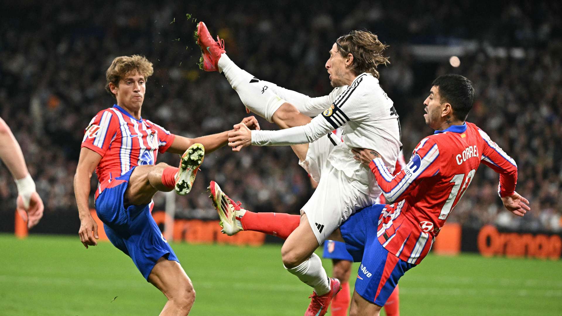 补选也为球 补选也为球